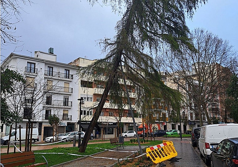El viento tira una farola en el Ferial emeritense y provoca el desprendimiento de algunas cornisas